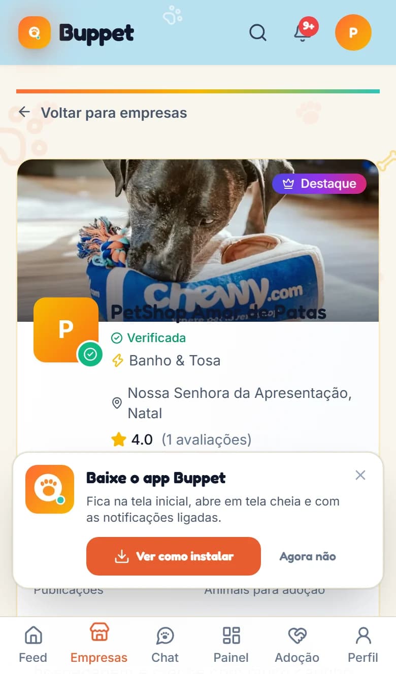 Buppet company profile screen with reviews, address, opening hours and posts.